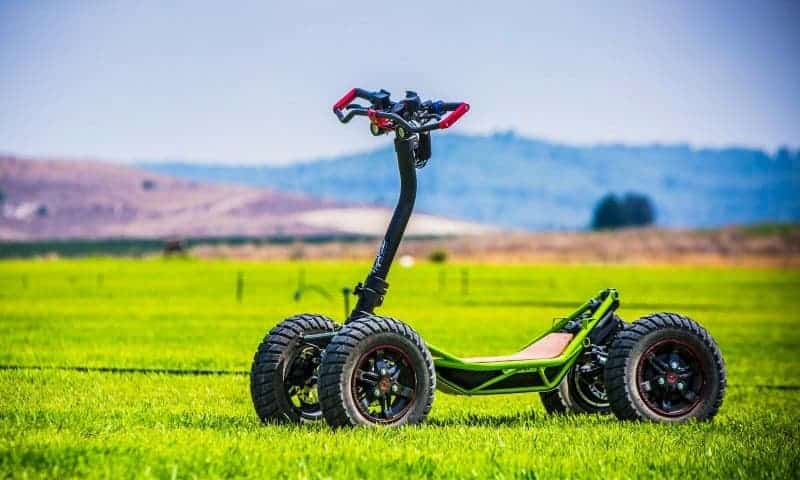 10043189_1566896940597_4 (1) (1)