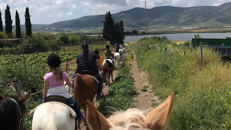 10052486_1561729026866 (1)