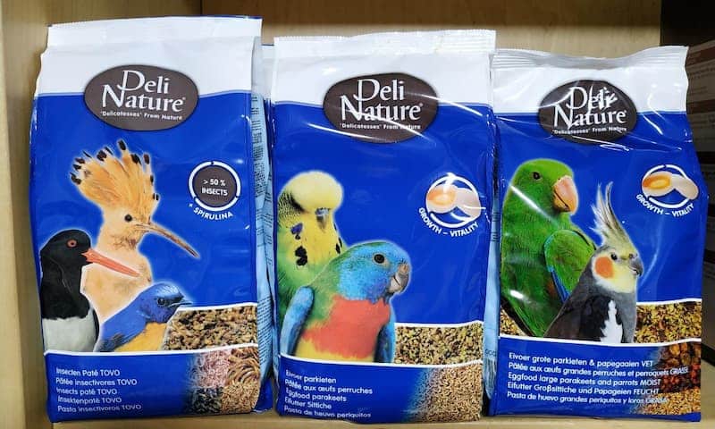 10055682_1576914530419 (1)