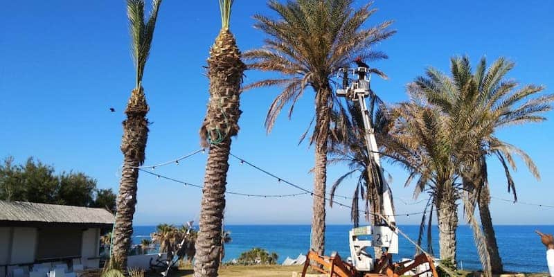 21625722_1527443059399 (1)