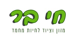 logo-1 (1)