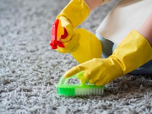 כיצד למנוע ולטפל בעקיצות חרקים על שטיחים –