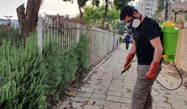 3144116_1586808743694-1