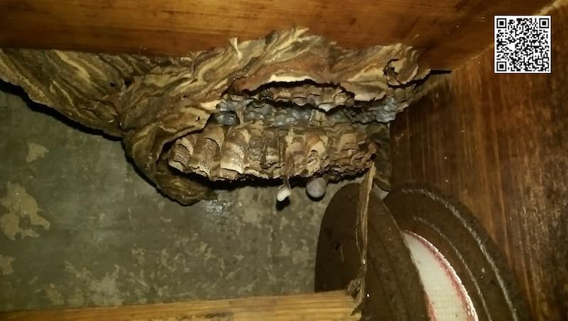 25422024_1556568246686-1